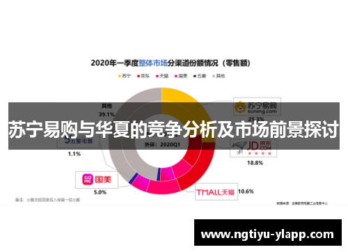 苏宁易购与华夏的竞争分析及市场前景探讨